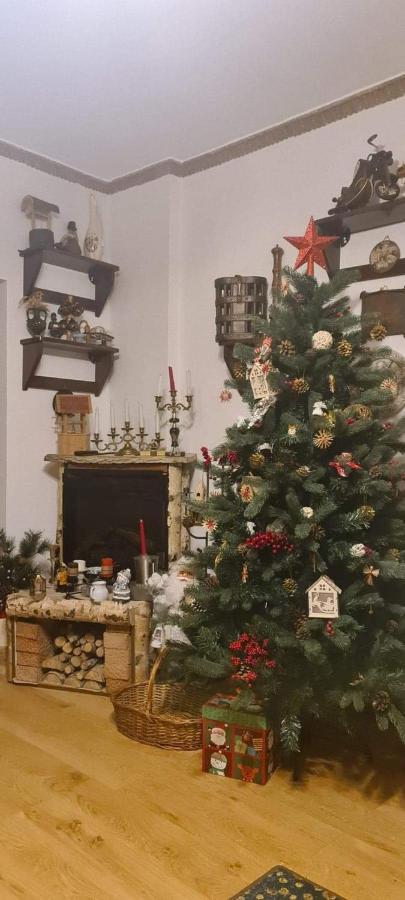 Pensiunea Bradet Brosteni Bagian luar foto