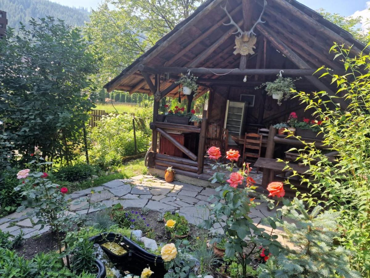 Pensiunea Bradet Brosteni Bagian luar foto