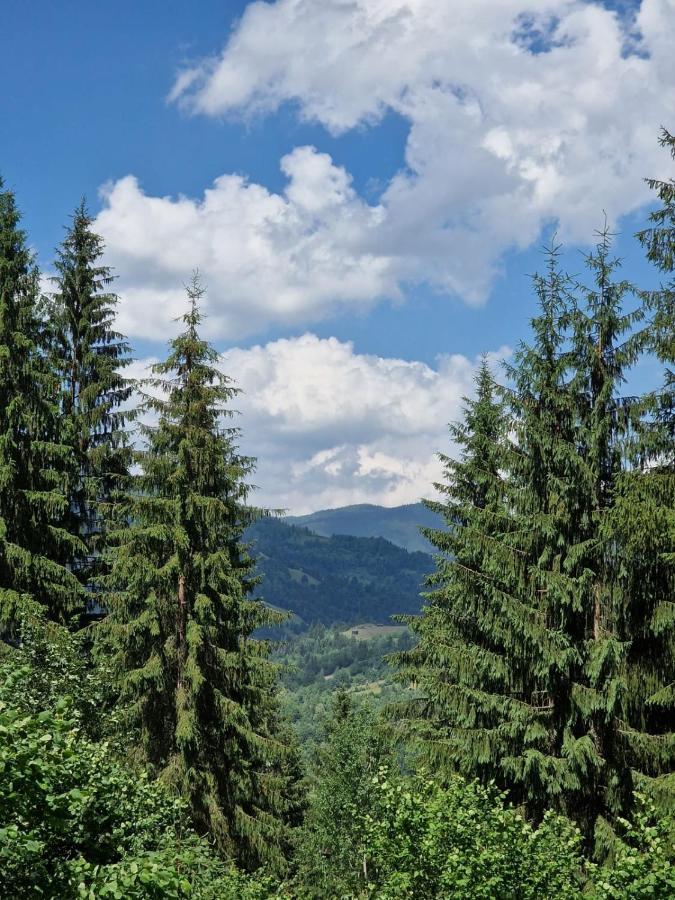 Pensiunea Bradet Brosteni Bagian luar foto