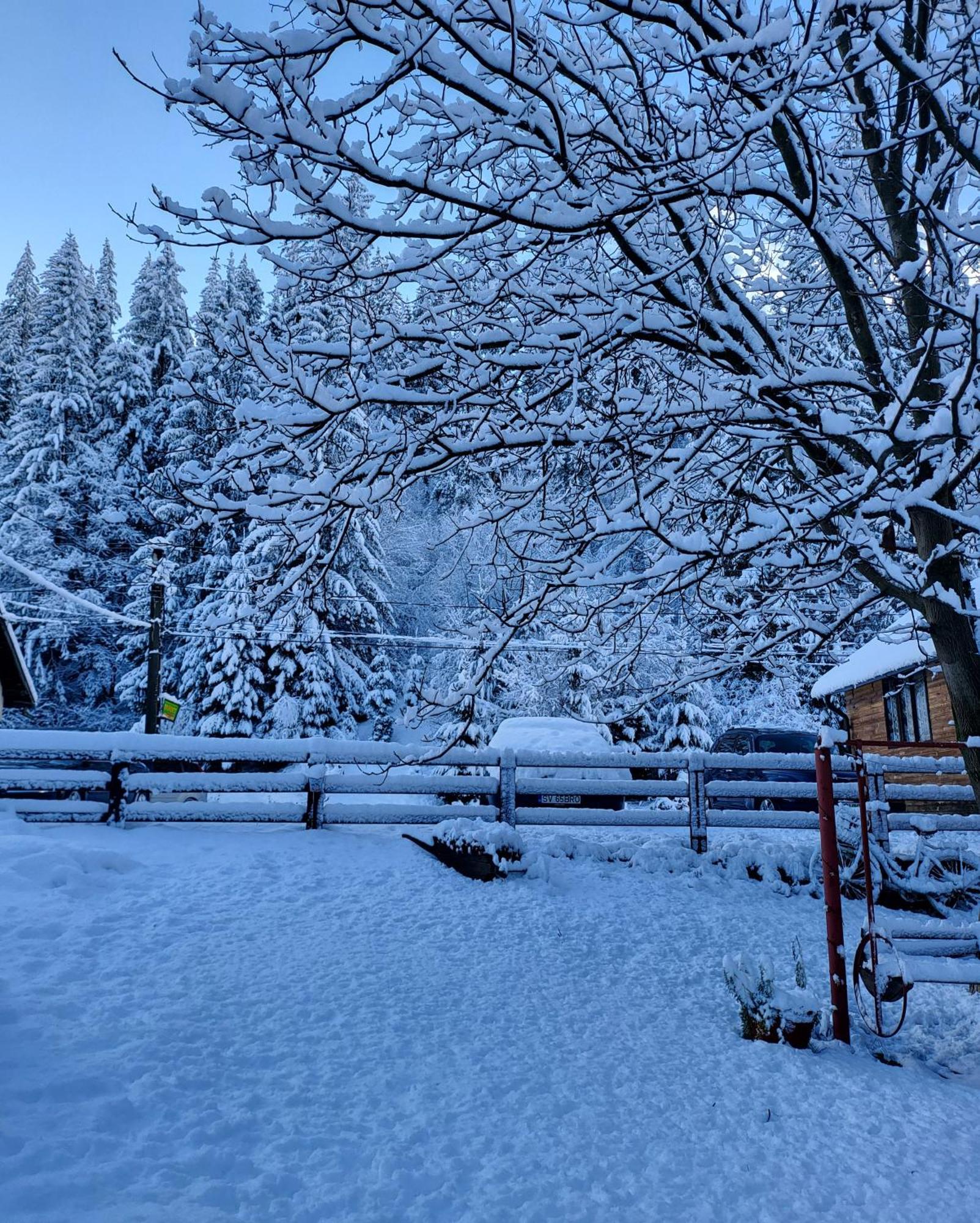 Pensiunea Bradet Brosteni Bagian luar foto